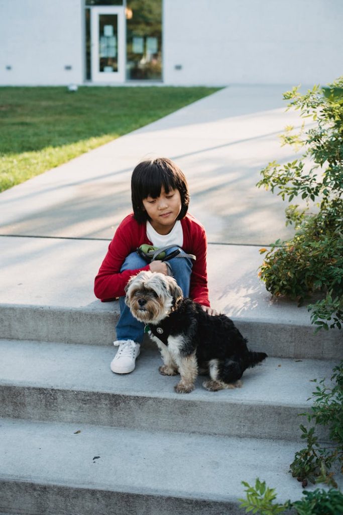 A child sits on outdoor steps with a Yorkshire Terrier, enjoying a sunny day together.