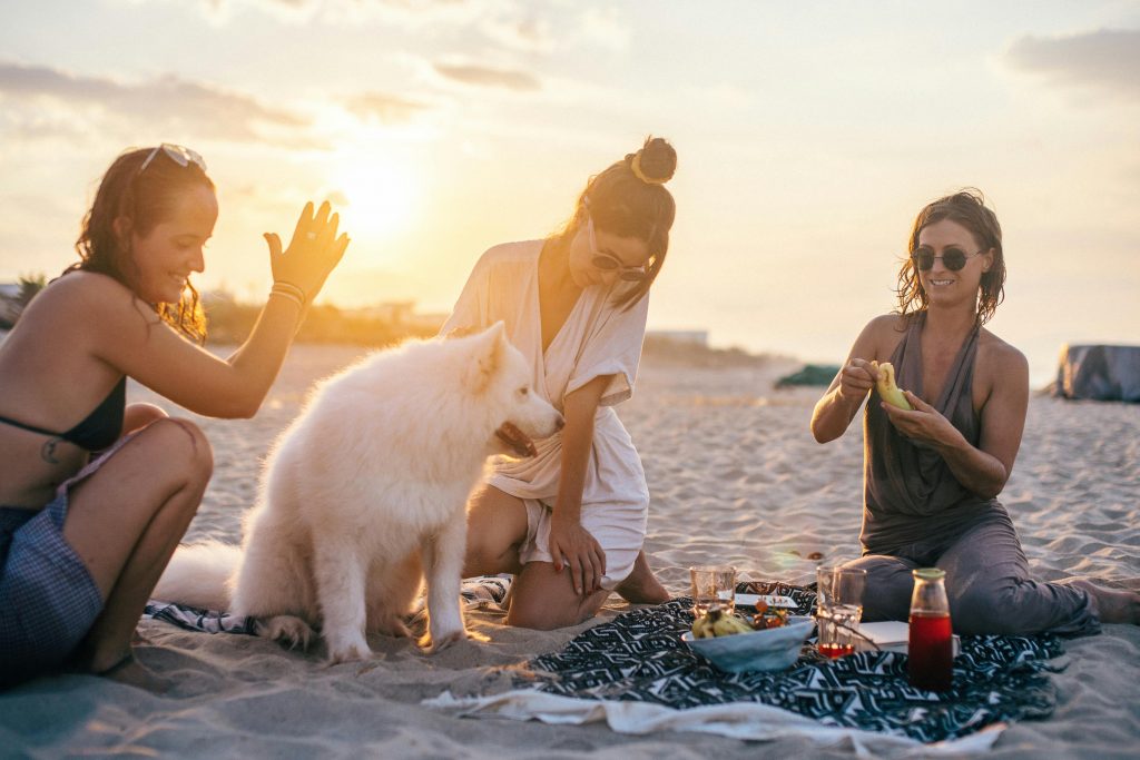 Three women and a fluffy dog enjoy a beach picnic during sunset, capturing a moment of leisure and companionship.